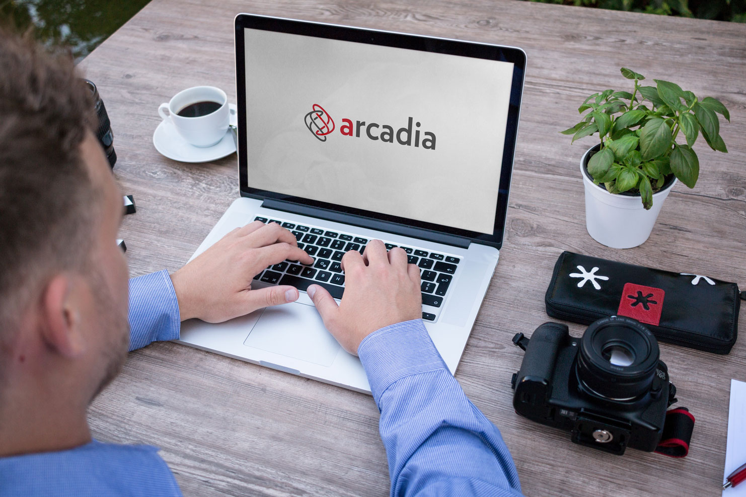 Software Gestionale Arcadia